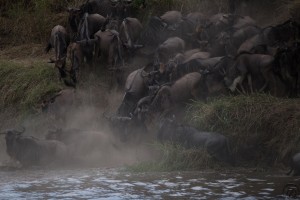 IMG 7793 