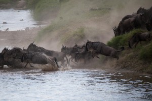 IMG 7948         